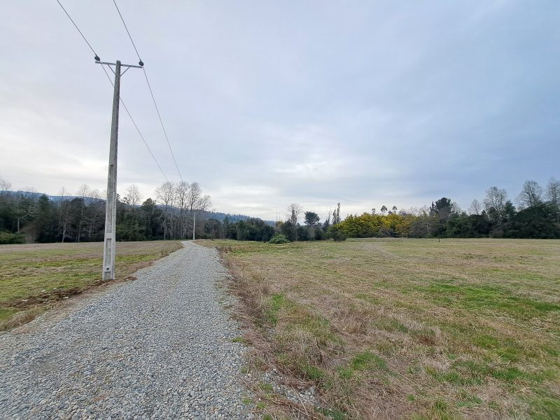 Hacienda Donguil, venta de parcelas entre Gorbea y Loncoche, al lado de la carretera Ruta 5 (60% vendido)