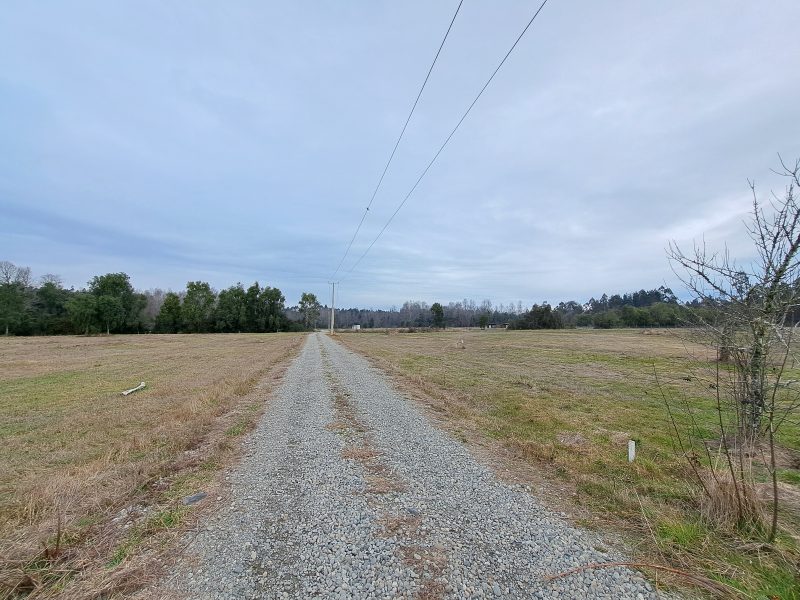 Hacienda Donguil, venta de parcelas entre Gorbea y Loncoche, al lado de la carretera Ruta 5 (60% vendido)