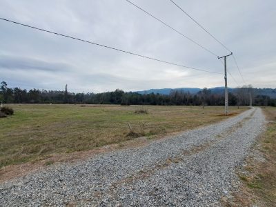 Hacienda Donguil, venta de parcelas entre Gorbea y Loncoche, al lado de la carretera Ruta 5 (60% vendido)