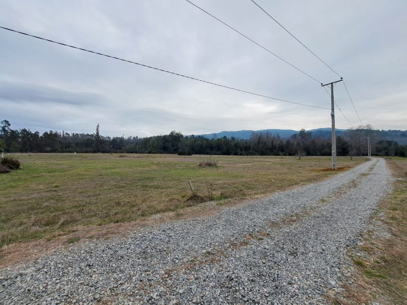 Hacienda Donguil, venta de parcelas entre Gorbea y Loncoche, al lado de la carretera Ruta 5 (60% vendido)