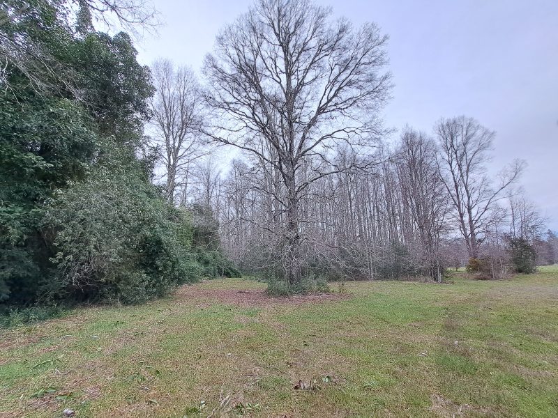 Hacienda Donguil, venta de parcelas entre Gorbea y Loncoche, al lado de la carretera Ruta 5 (60% vendido)