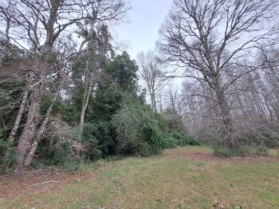 Hacienda Donguil, venta de parcelas entre Gorbea y Loncoche, al lado de la carretera Ruta 5 (60% vendido)