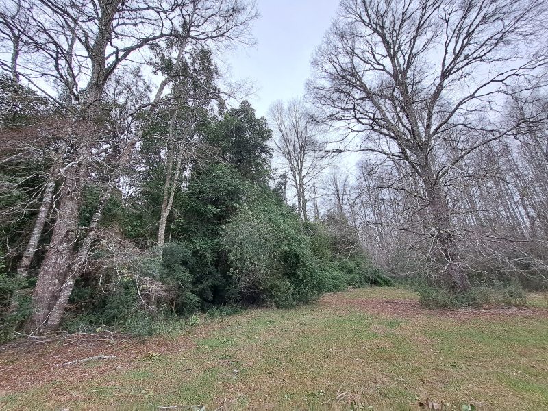Hacienda Donguil, venta de parcelas entre Gorbea y Loncoche, al lado de la carretera Ruta 5 (60% vendido)