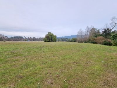 Hacienda Donguil, venta de parcelas entre Gorbea y Loncoche, al lado de la carretera Ruta 5 (60% vendido)