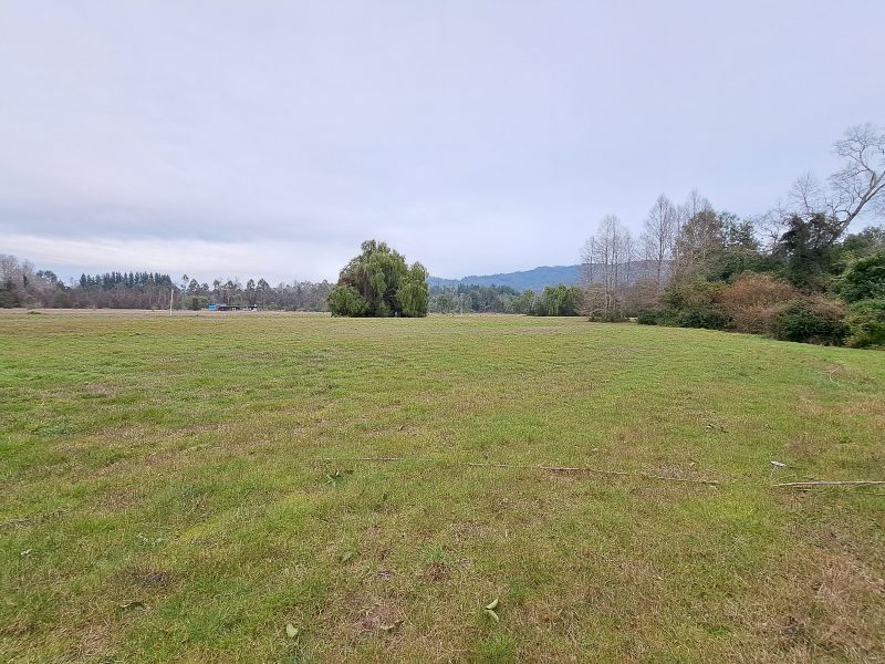 Hacienda Donguil, venta de parcelas entre Gorbea y Loncoche, al lado de la carretera Ruta 5 (60% vendido)