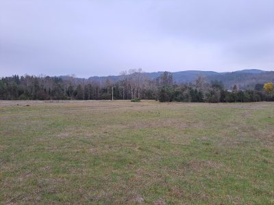 Hacienda Donguil, venta de parcelas entre Gorbea y Loncoche, al lado de la carretera Ruta 5 (60% vendido)