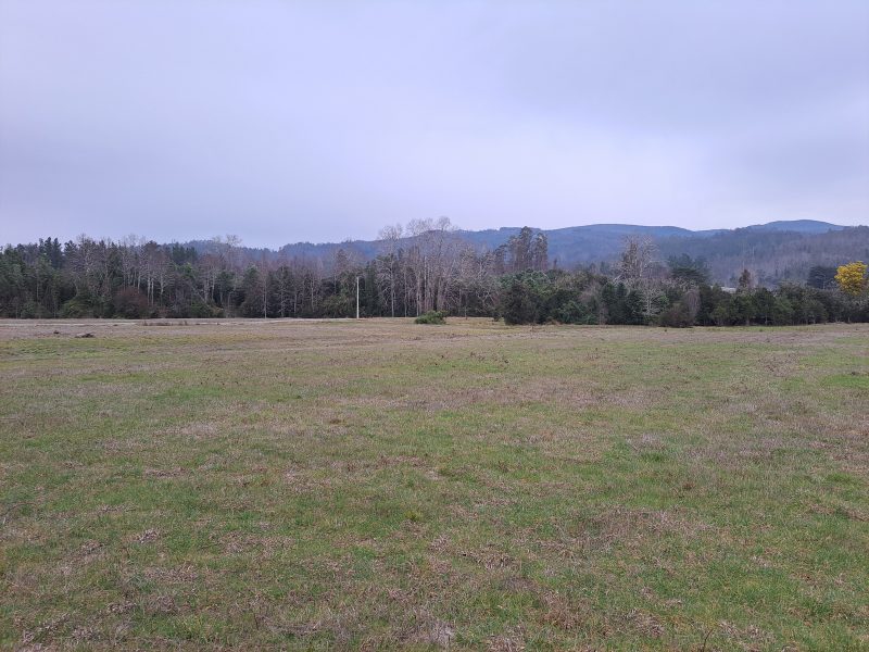 Hacienda Donguil, venta de parcelas entre Gorbea y Loncoche, al lado de la carretera Ruta 5 (60% vendido)