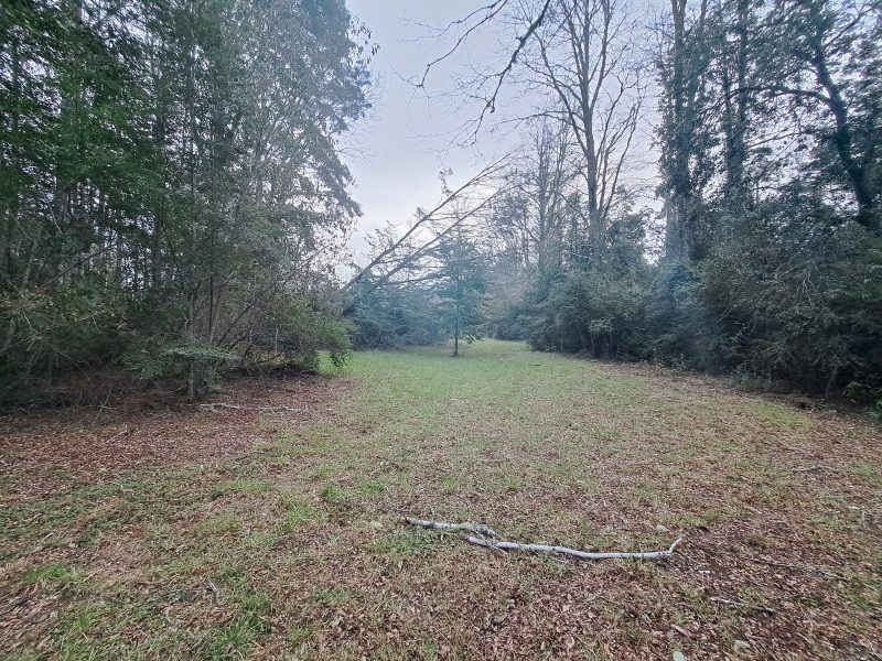 Hacienda Donguil, venta de parcelas entre Gorbea y Loncoche, al lado de la carretera Ruta 5 (60% vendido)
