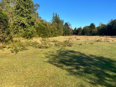 Se Vende Parcela en Villarrica