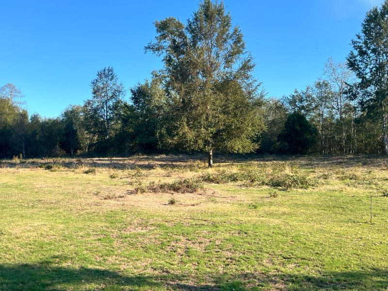 Se Vende Parcela en Villarrica
