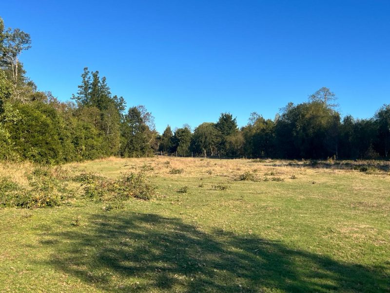 Se Vende Parcela en Villarrica