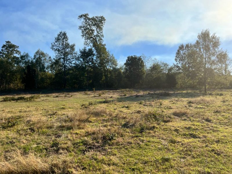 Se Vende Parcela en Villarrica