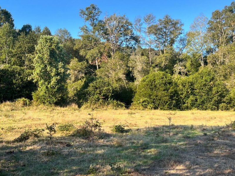 Se Vende Parcela en Villarrica