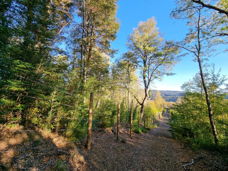 Se Vende Parcela en Malalcahuello