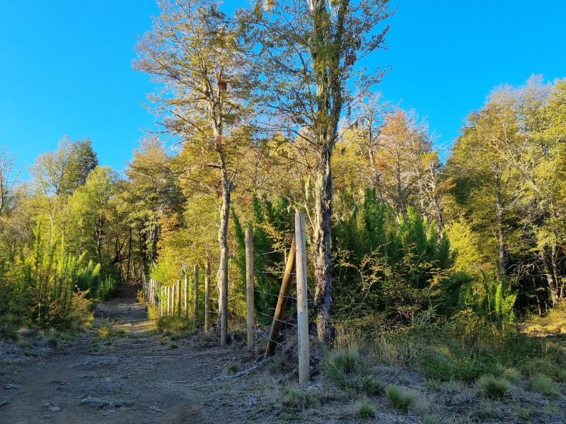 Se Vende Parcela en Malalcahuello