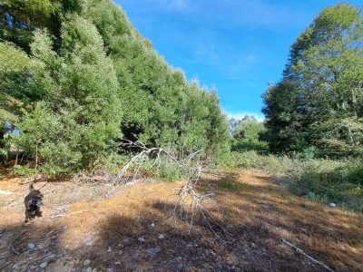 Se Vende Parcela en Villarrica